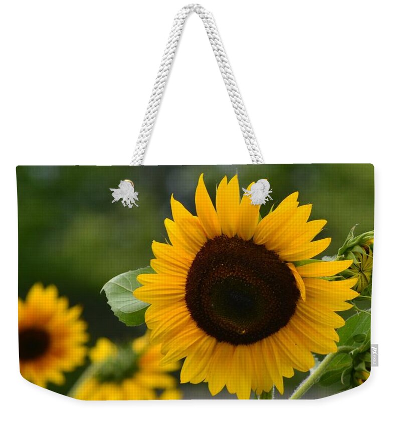 Flowers Weekender Tote Bag featuring the photograph Sunflower Group by Eileen Brymer