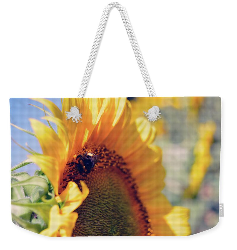 Sunflower Weekender Tote Bag featuring the photograph Sunflower In A Field by Viv Kanharn