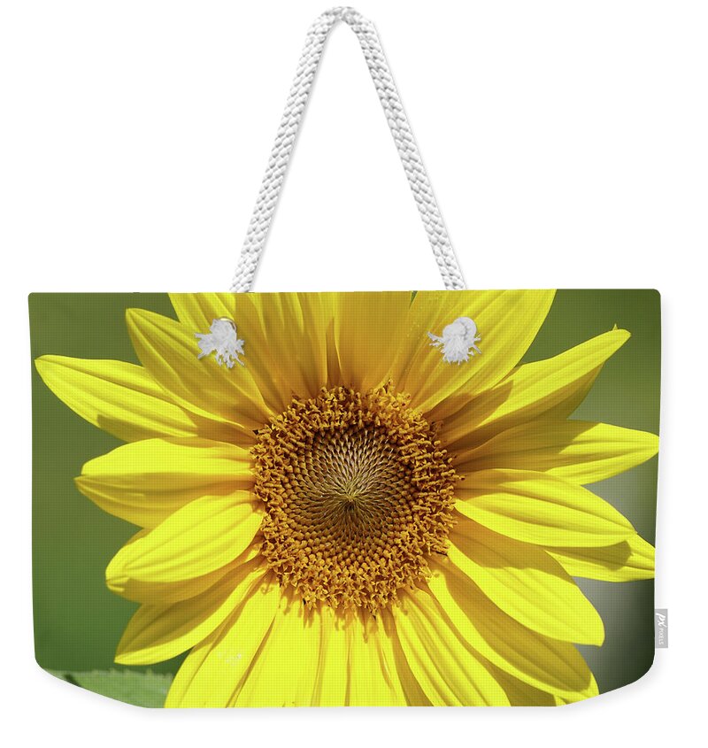 Sunflower Weekender Tote Bag featuring the photograph Sunflower in the Sun by Robert E Alter Reflections of Infinity