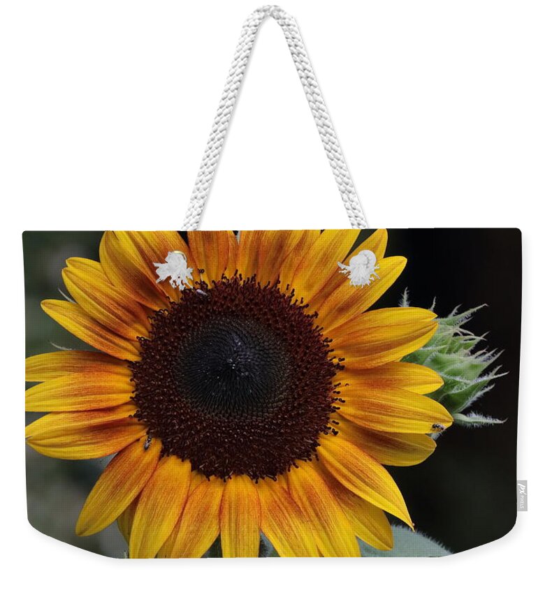 Sunflower Weekender Tote Bag featuring the photograph Sunflower by John Moyer