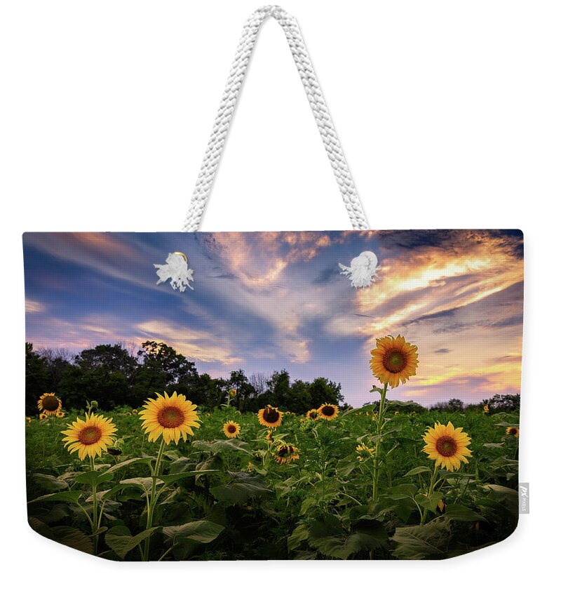 Sunflower Weekender Tote Bag featuring the photograph Sunflower Mingle by C Renee Martin