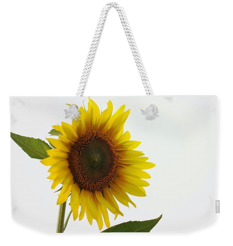 Skompski Weekender Tote Bag featuring the photograph Sunflower Minimal by Joseph Skompski