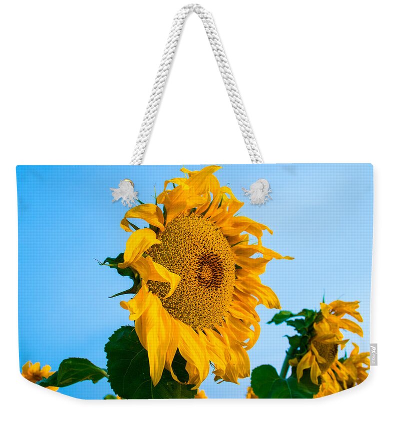 Sunrise Weekender Tote Bag featuring the photograph Sunflower Morning #2 by Mindy Musick King