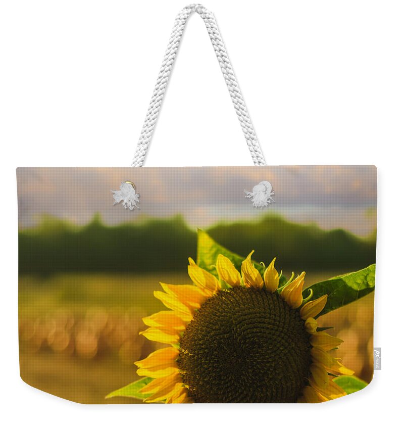 Sunflower Weekender Tote Bag featuring the photograph Sunflower Patch by Alissa Beth Photography