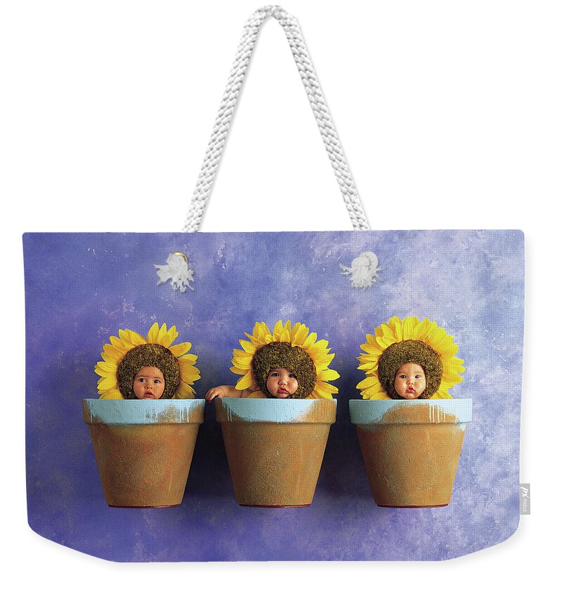 Sunflower Weekender Tote Bag featuring the photograph Sunflower Pots by Anne Geddes