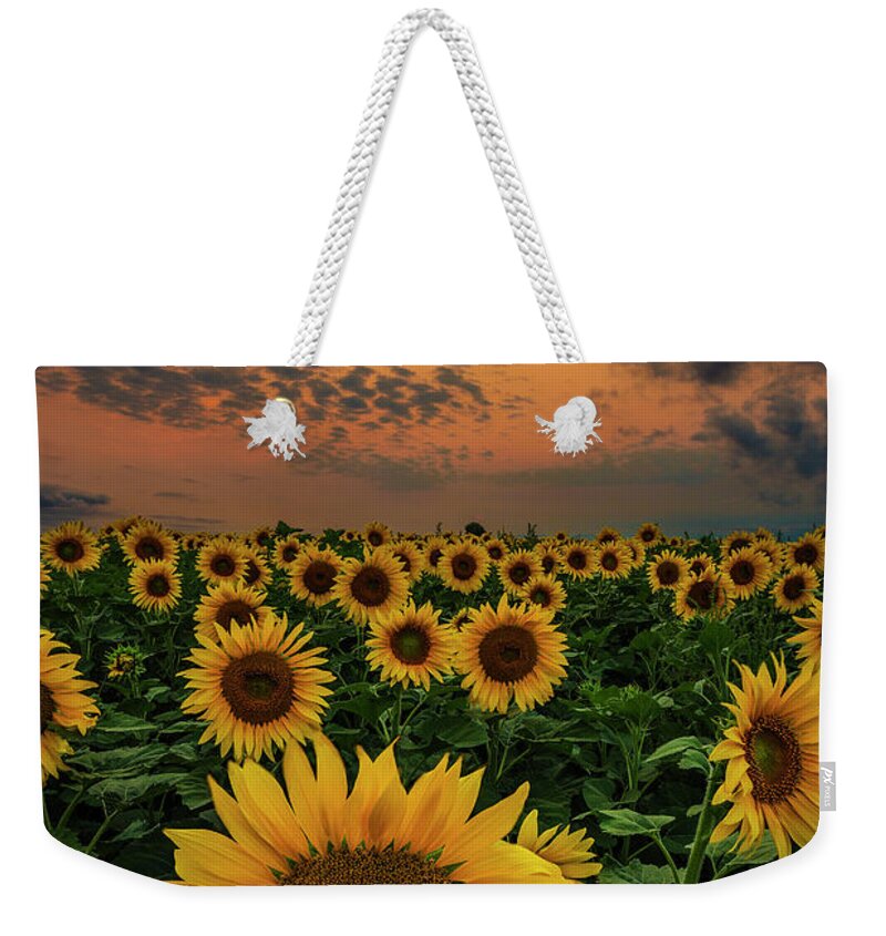 Yellow Weekender Tote Bag featuring the photograph Sunflower Sunset by Aaron J Groen