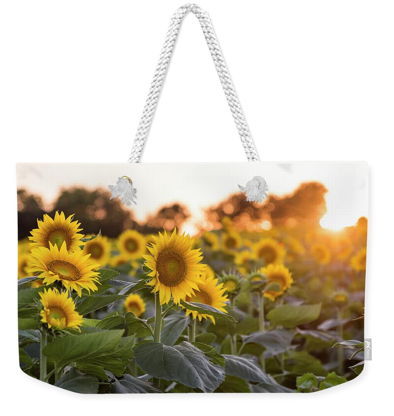 Ryan Heffron Weekender Tote Bag featuring the photograph Sunflower Sunset by Ryan Heffron