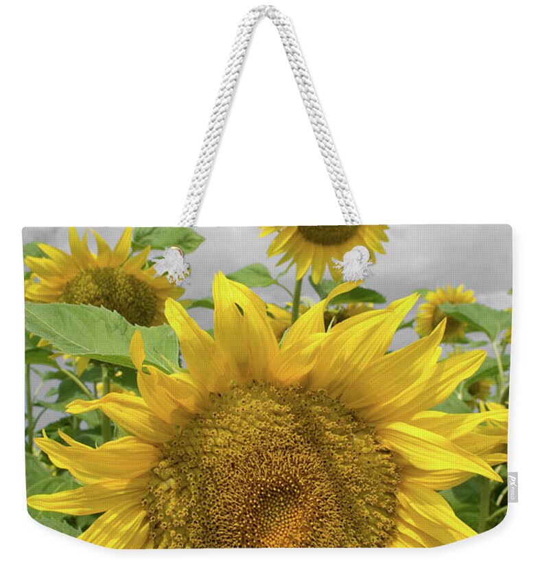 Sunflowers Ii Weekender Tote Bag featuring the photograph Sunflowers II by Dylan Punke