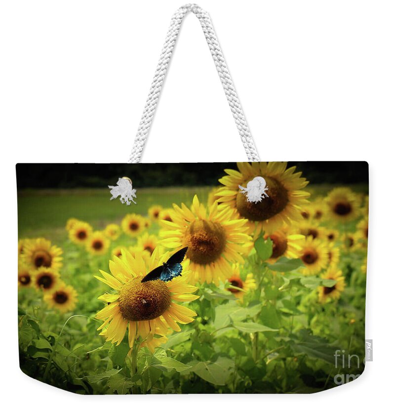 Sunflowers Weekender Tote Bag featuring the photograph Sunflowers in Memphis by Veronica Batterson