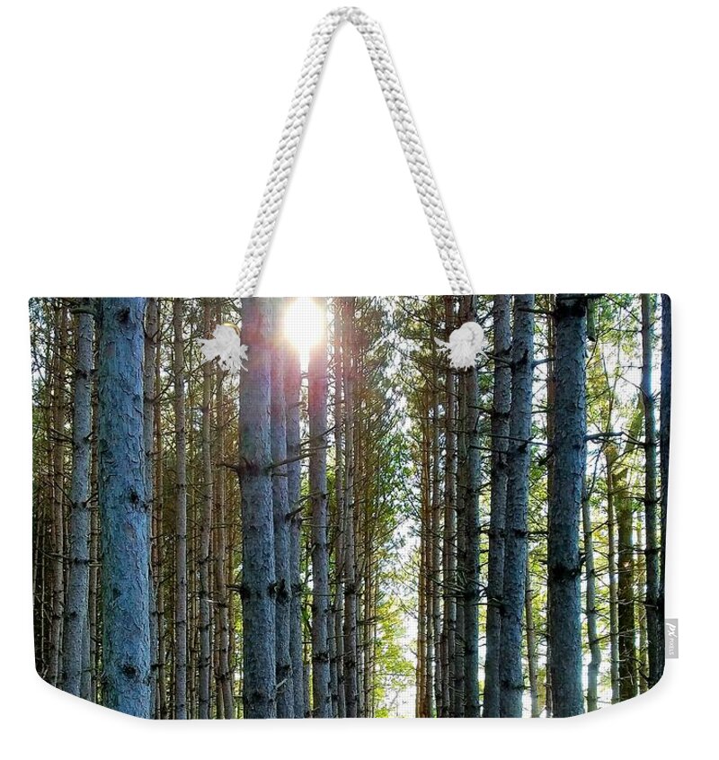 Sunlight Weekender Tote Bag featuring the photograph Sunlight Through the Forest Trees by Vic Ritchey