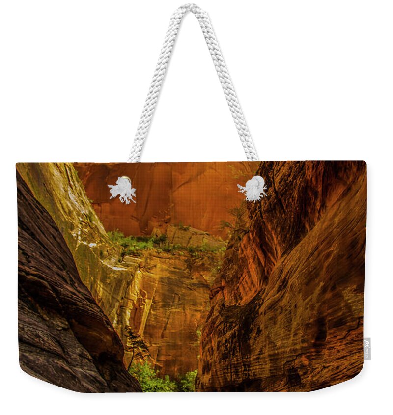 Beautiful Late Afternoon Sunlit Colors Light Up The Echo Canyon Slot Along The Observation Point Trail In Zion National Park. Weekender Tote Bag featuring the photograph Sunlit Colors in the Slot by Doug Scrima