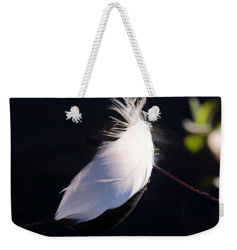 Karen Silvestri Weekender Tote Bag featuring the photograph Sunlit Feather by Karen Silvestri