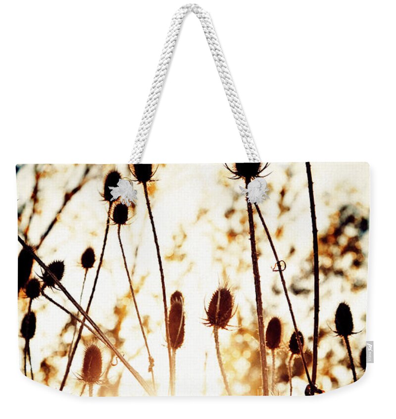 Landscape Weekender Tote Bag featuring the photograph Sunny Afternoon by RicharD Murphy