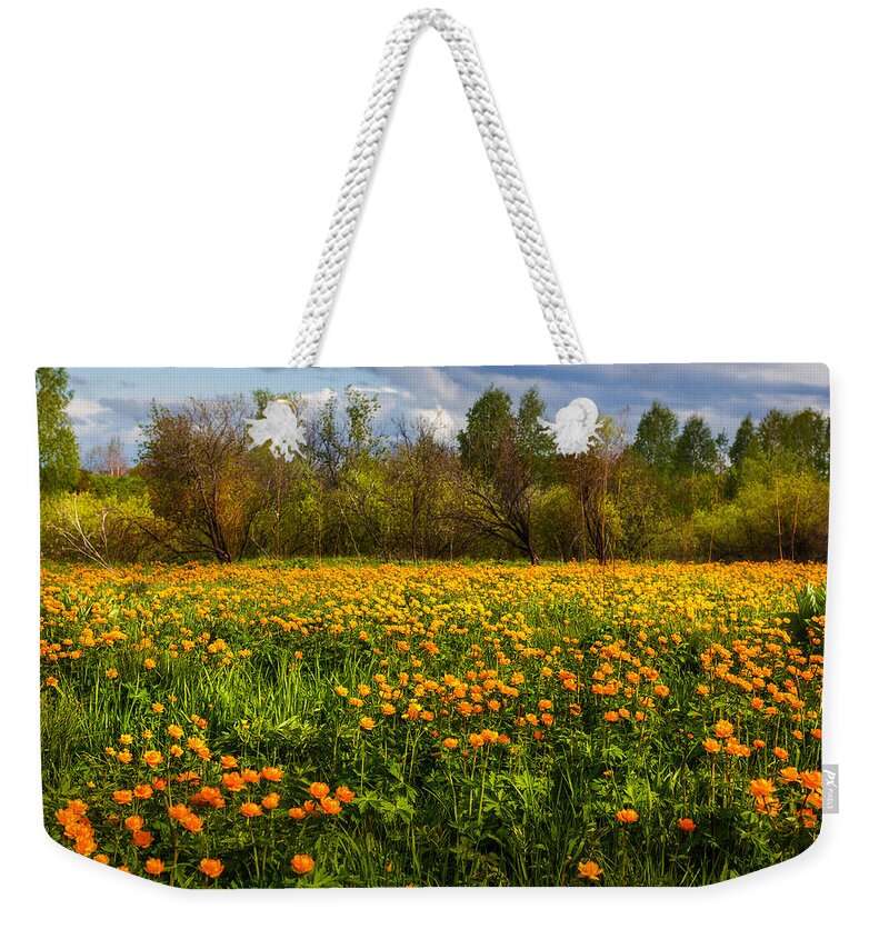 Buttercup Weekender Tote Bag featuring the photograph Sunny Buttercups Field. Altai by Victor Kovchin