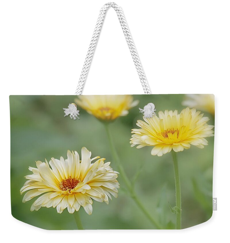 Yellow Flower Weekender Tote Bag featuring the photograph Sunny Daze by Kim Hojnacki
