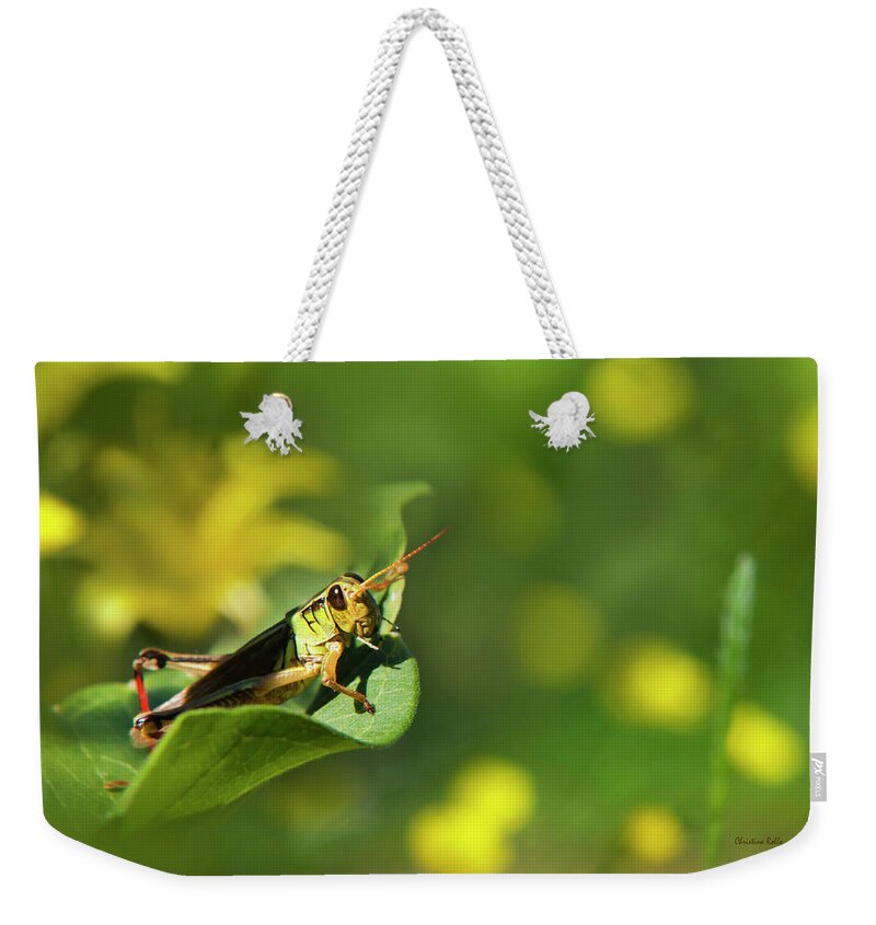 Grasshopper Weekender Tote Bag featuring the photograph Green Grasshopper by Christina Rollo