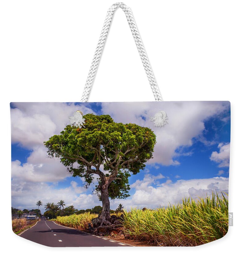 Jenny Rainbow Fine Art Photography Weekender Tote Bag featuring the photograph Sunny Road in Mauritius by Jenny Rainbow