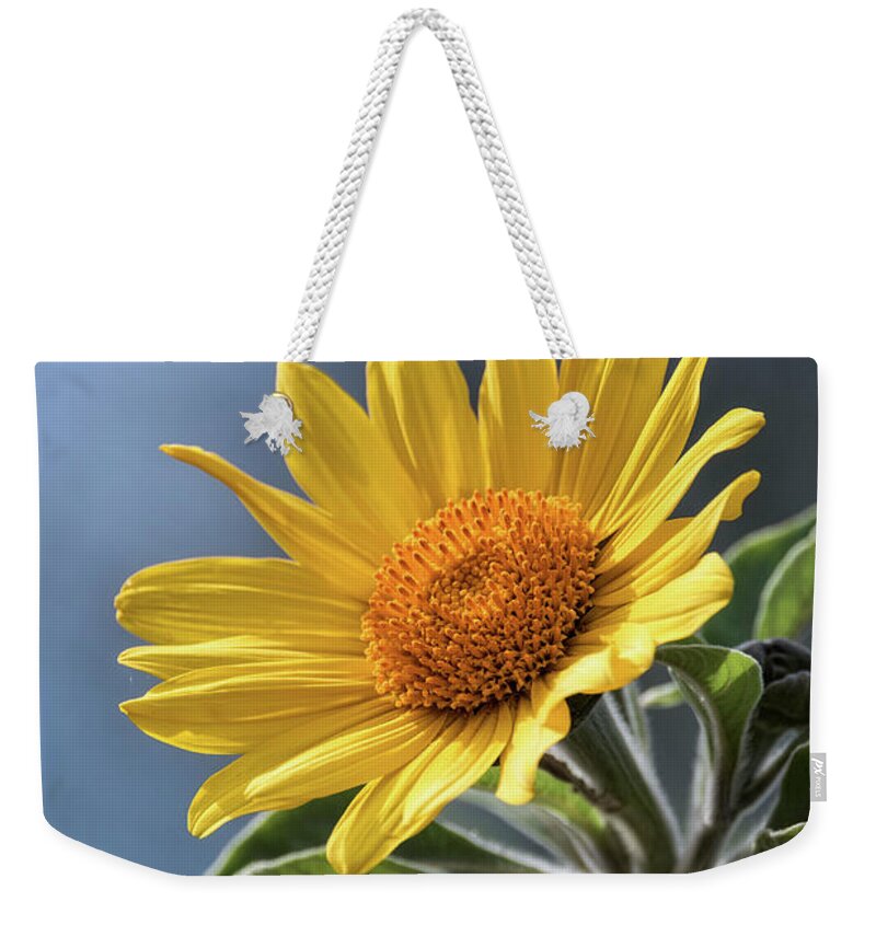 Sunflower Weekender Tote Bag featuring the photograph Sunny Side Up by Saija Lehtonen