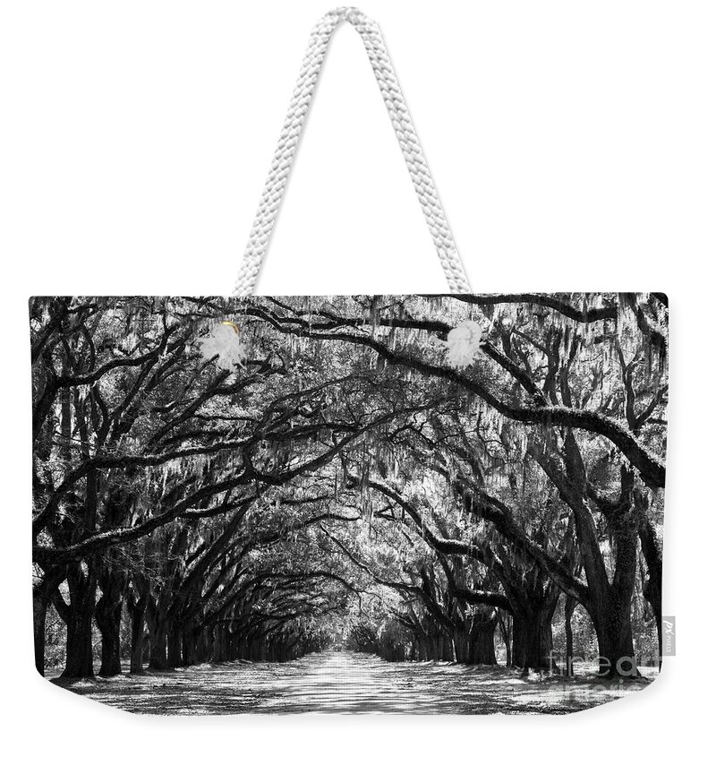 Live Oaks Weekender Tote Bag featuring the photograph Sunny Southern Day - Black and White by Carol Groenen
