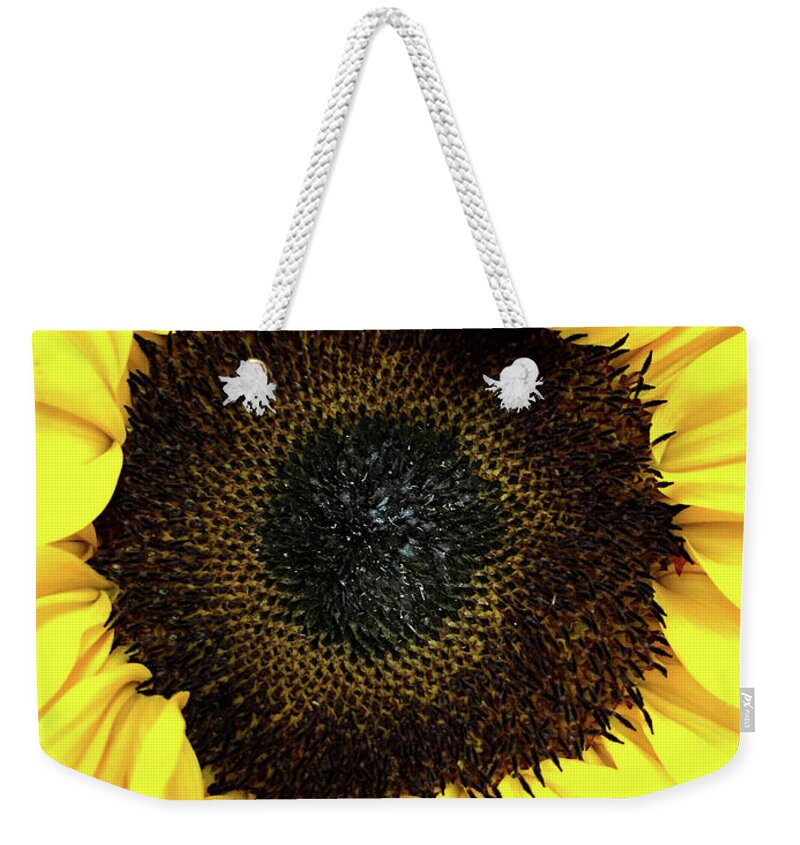 Sunflower Weekender Tote Bag featuring the photograph Sunny by Steph Gabler