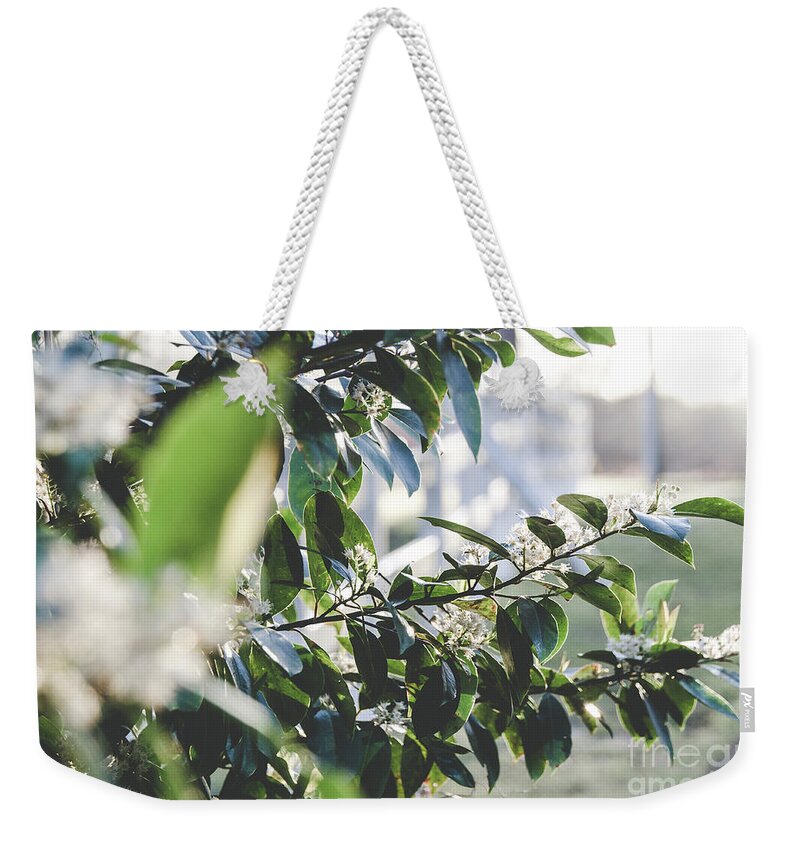 Sun Weekender Tote Bag featuring the photograph Sunrise by Andrea Anderegg