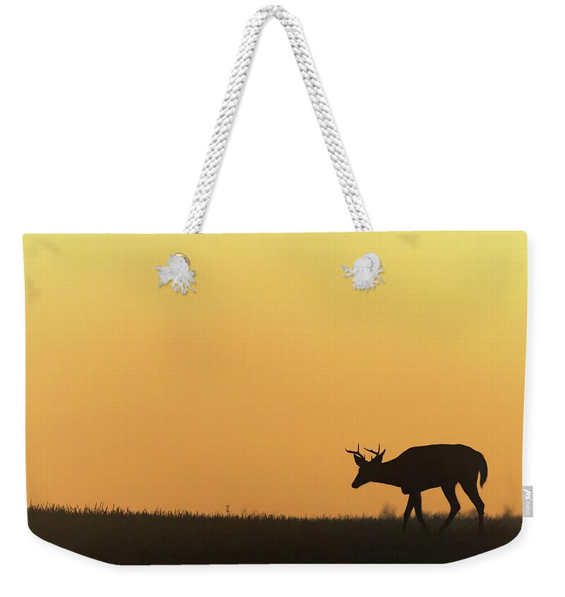 Silhouette Weekender Tote Bag featuring the photograph Sunrise Deer by Bill Wakeley