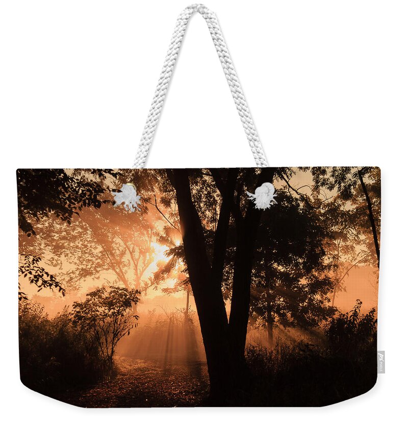 Illinois Weekender Tote Bag featuring the photograph Sunrise in the Marsh 3 by Joni Eskridge