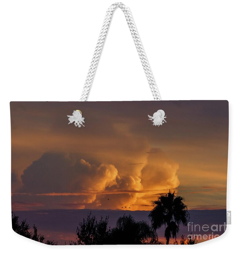 2016 Weekender Tote Bag featuring the photograph Sunrise by Les Greenwood