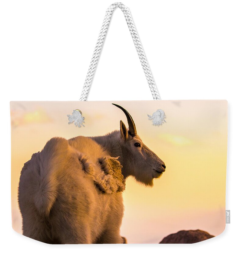 Mountain Goat Weekender Tote Bag featuring the photograph Sunrise on the Mountain #1 by Mindy Musick King