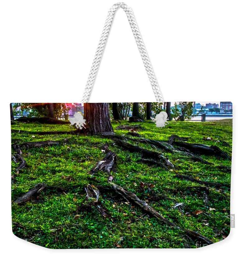 Sunrise Weekender Tote Bag featuring the photograph Sunrise Over Queens by James Aiken