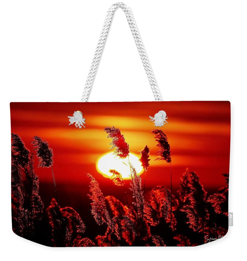 Marsh Weekender Tote Bag featuring the photograph Sunrise through the tassels of the marsh by Shawn M Greener