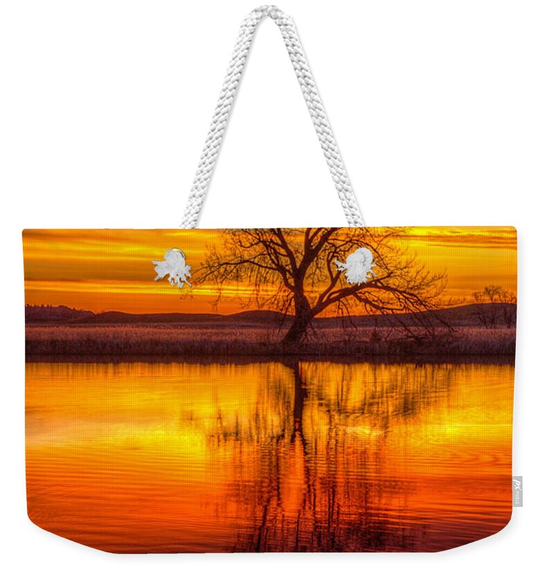 Sunrise Weekender Tote Bag featuring the photograph Sunrise Tree by Fiskr Larsen