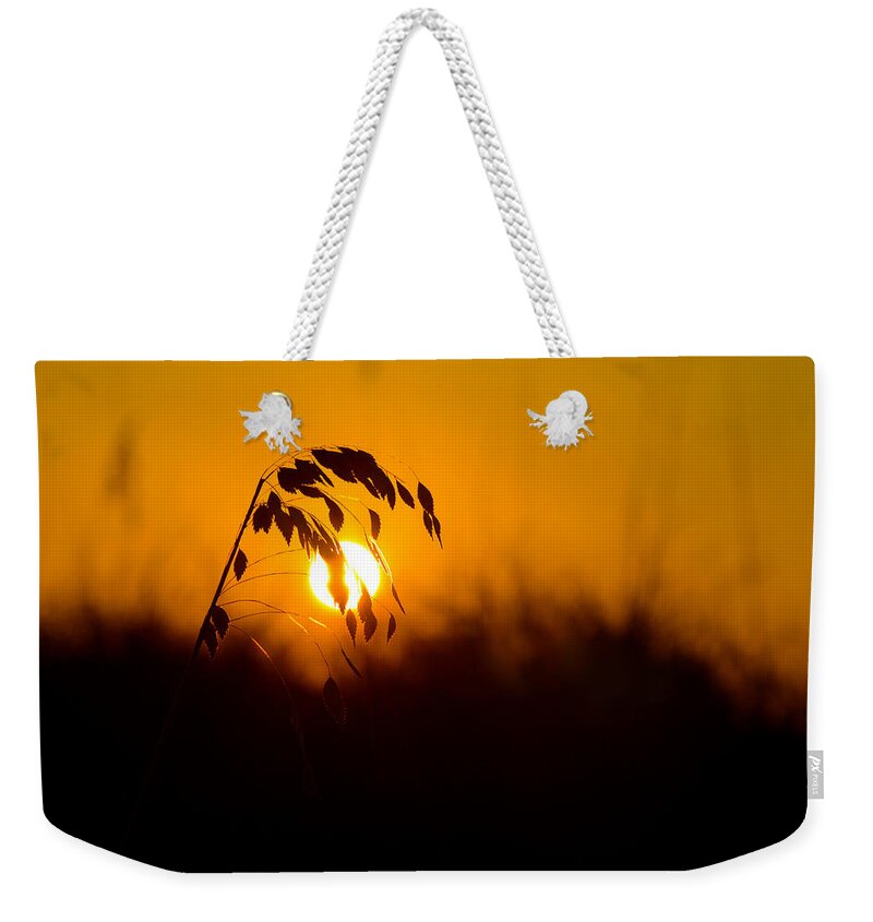 Beautiful Photo Weekender Tote Bag featuring the photograph Sunset Beach by Kevin Cable