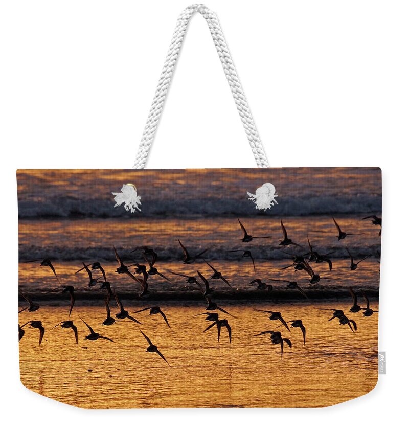 Dunlin Weekender Tote Bag featuring the photograph Sunset Flight by Inge Riis McDonald