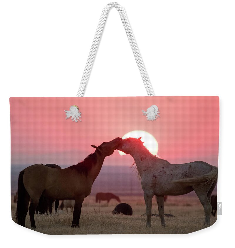 Wild Horses Weekender Tote Bag featuring the photograph Sunset Horses by Wesley Aston