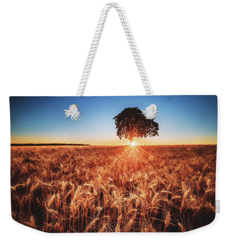 Sunset Weekender Tote Bag featuring the photograph Sunset on the Fields by Marc Braner
