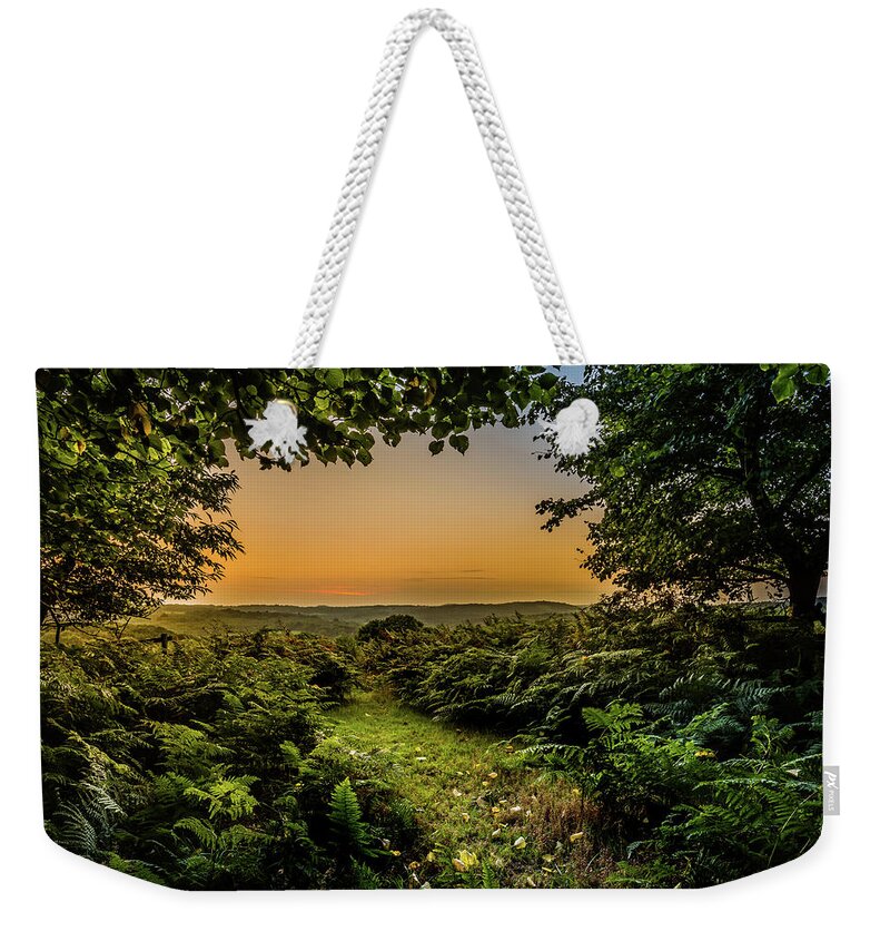 Sunset Weekender Tote Bag featuring the photograph Sunset Through Trees by Nick Bywater