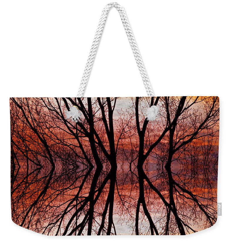 Abstracts Weekender Tote Bag featuring the photograph Sunset Tree Silhouette Abstract 2 by James BO Insogna