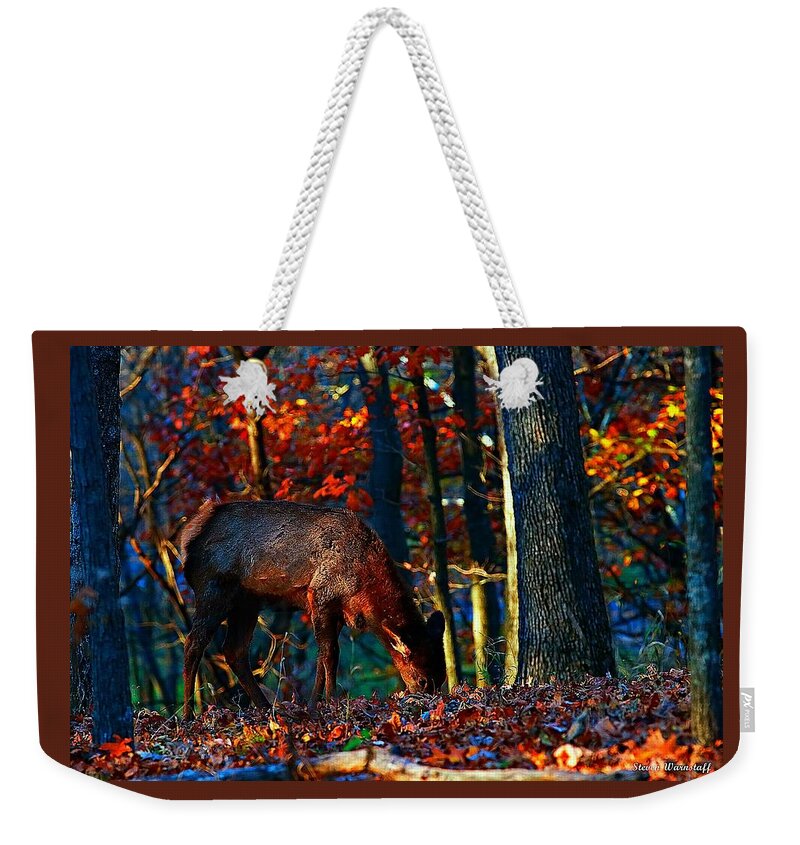Elk Weekender Tote Bag featuring the photograph Sunset With A Calf by Steve Warnstaff