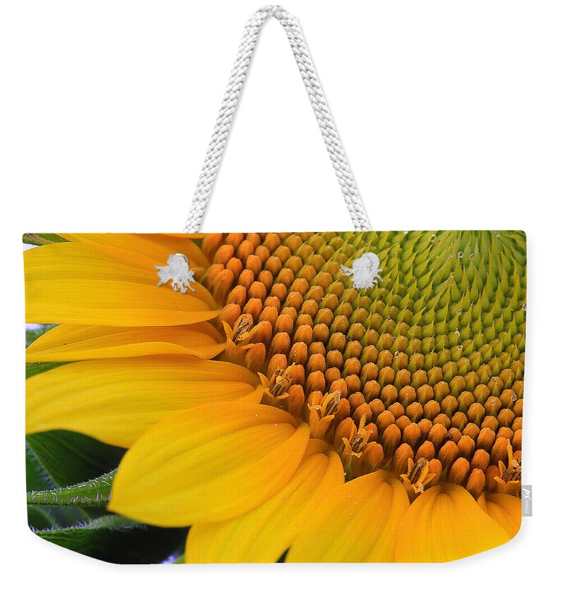 Flower Weekender Tote Bag featuring the photograph Sunshine in a Flower by Shari Jardina