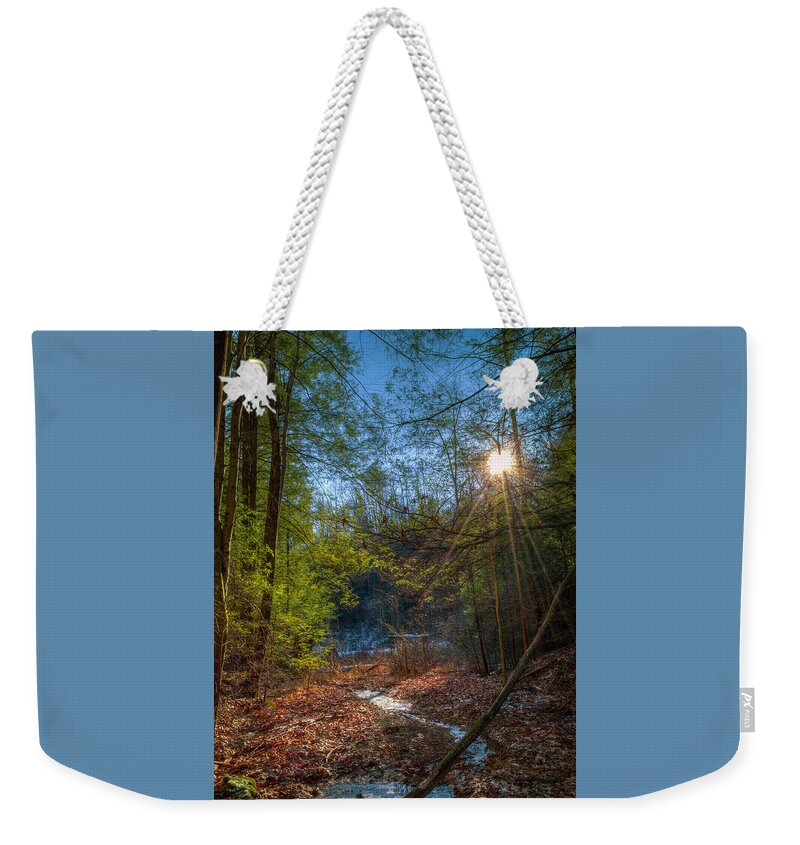 Sun Weekender Tote Bag featuring the photograph Sunshine by Lena Auxier