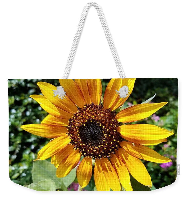 Flowers Weekender Tote Bag featuring the photograph Sunshine by Rick Redman