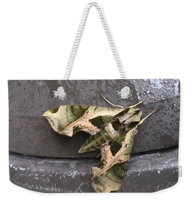Giant Bug Weekender Tote Bag featuring the photograph Super bug by Aaron Martens