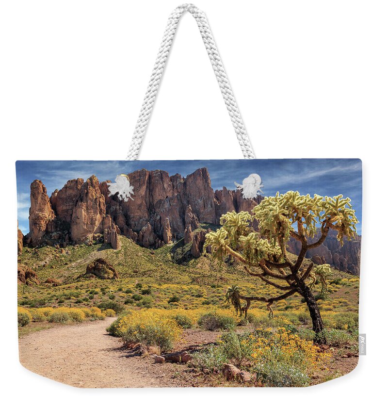 Superstition Mountains Weekender Tote Bag featuring the photograph Superstition Mountain Cholla by James Eddy