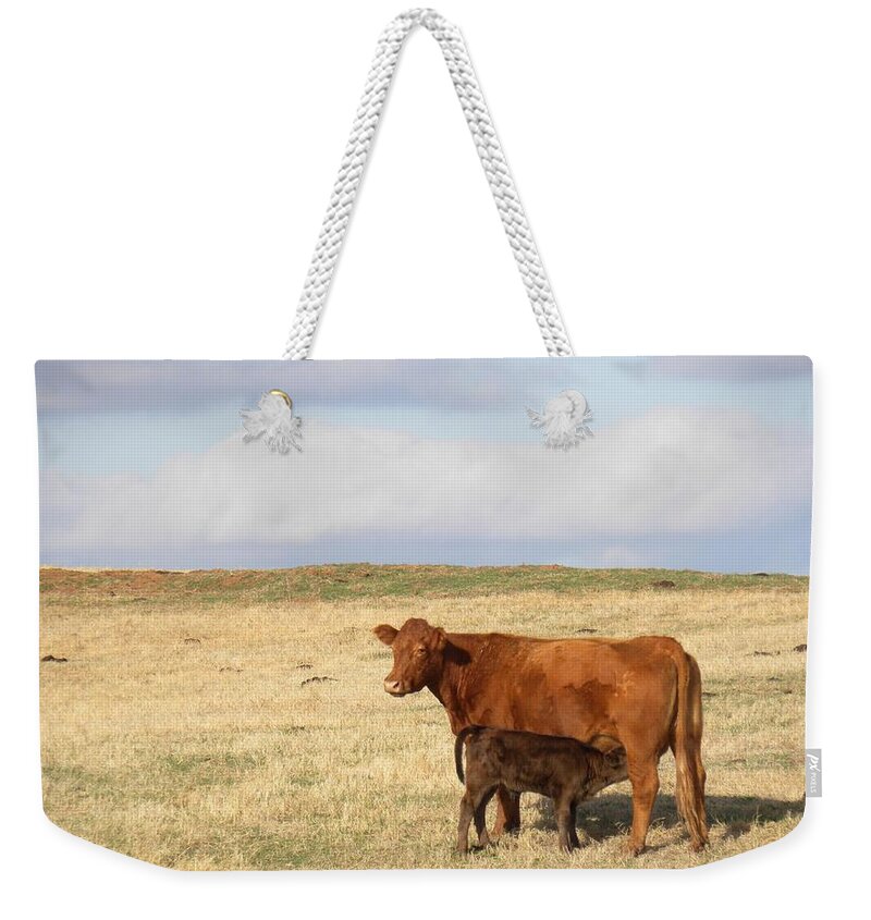 Cow Weekender Tote Bag featuring the photograph Suppertime by Annie Adkins