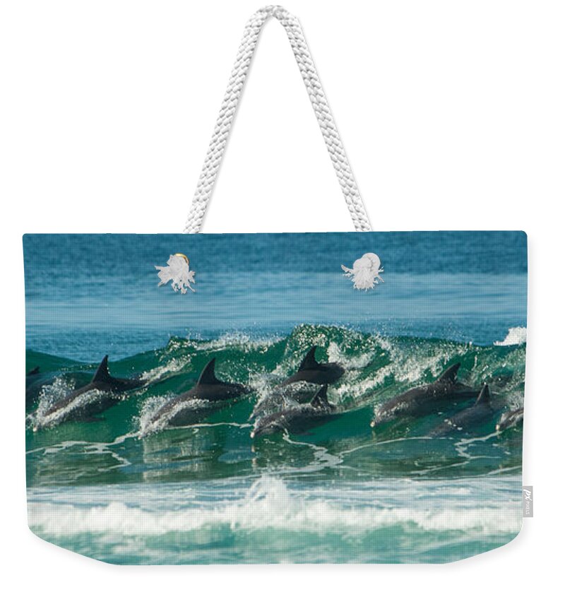 Action Weekender Tote Bag featuring the photograph Surfing Dolphins 4 by Alistair Lyne