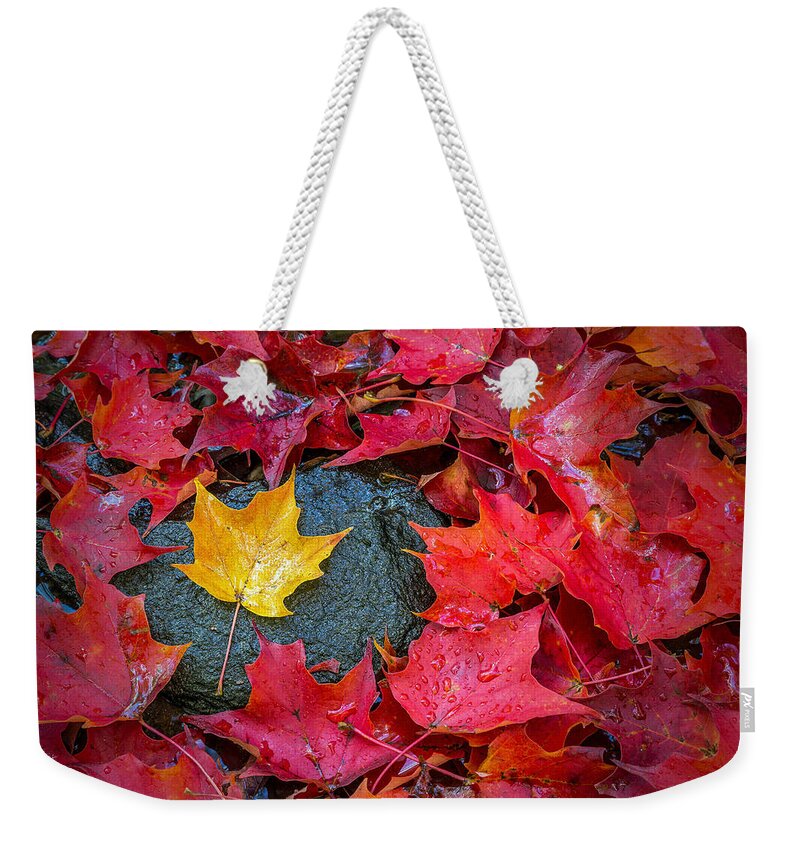 Autumn Weekender Tote Bag featuring the photograph Surrounded by John Vose