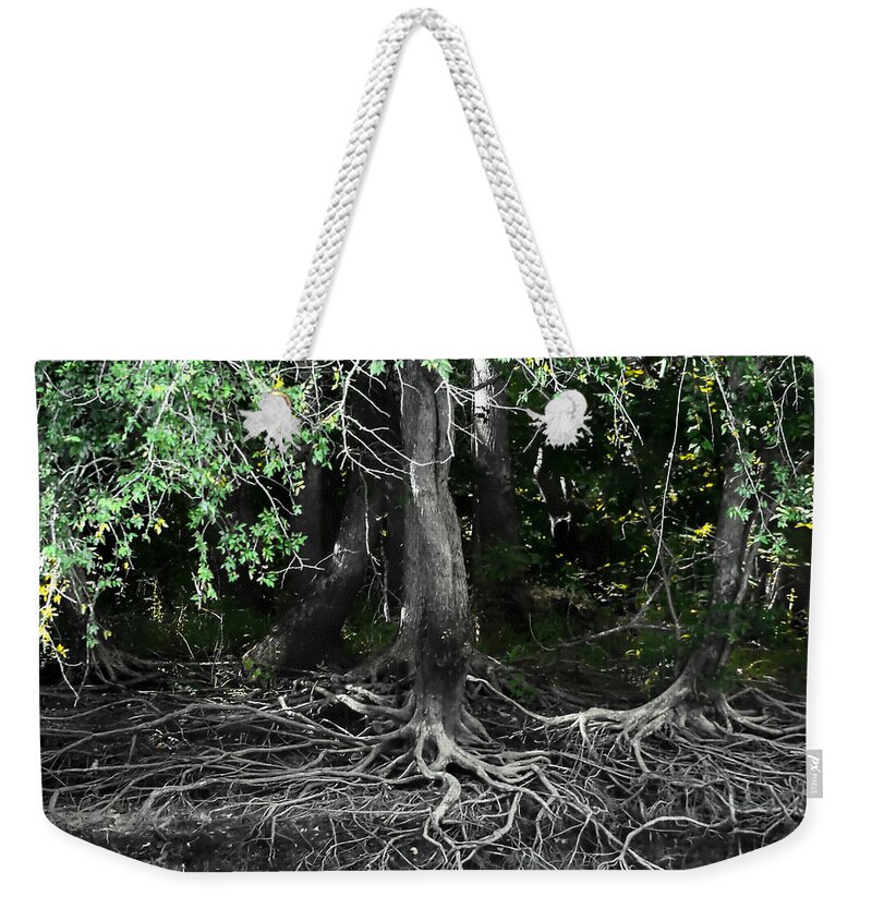 Debra Forand Weekender Tote Bag featuring the photograph Survival of The Fittest by Debra Forand
