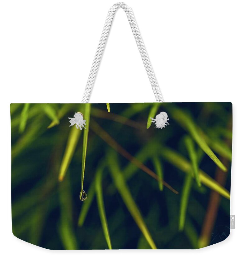 Dew Weekender Tote Bag featuring the photograph Suspended by Gene Garnace
