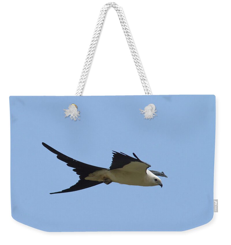 Swallow-tailed Kite Weekender Tote Bag featuring the photograph Swallow-tailed Kite #2 by Paul Rebmann
